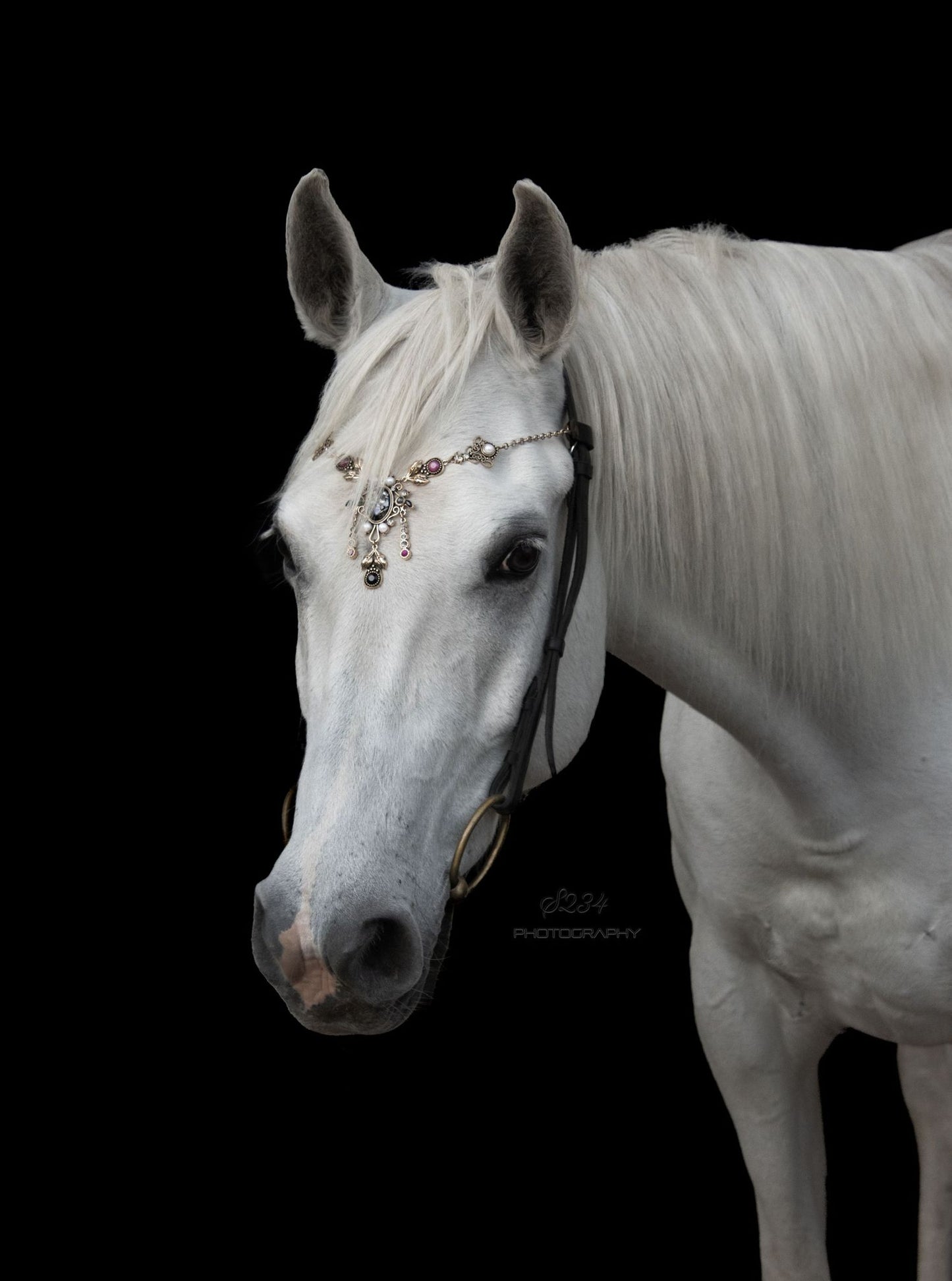 Pferdeschmuck Barock