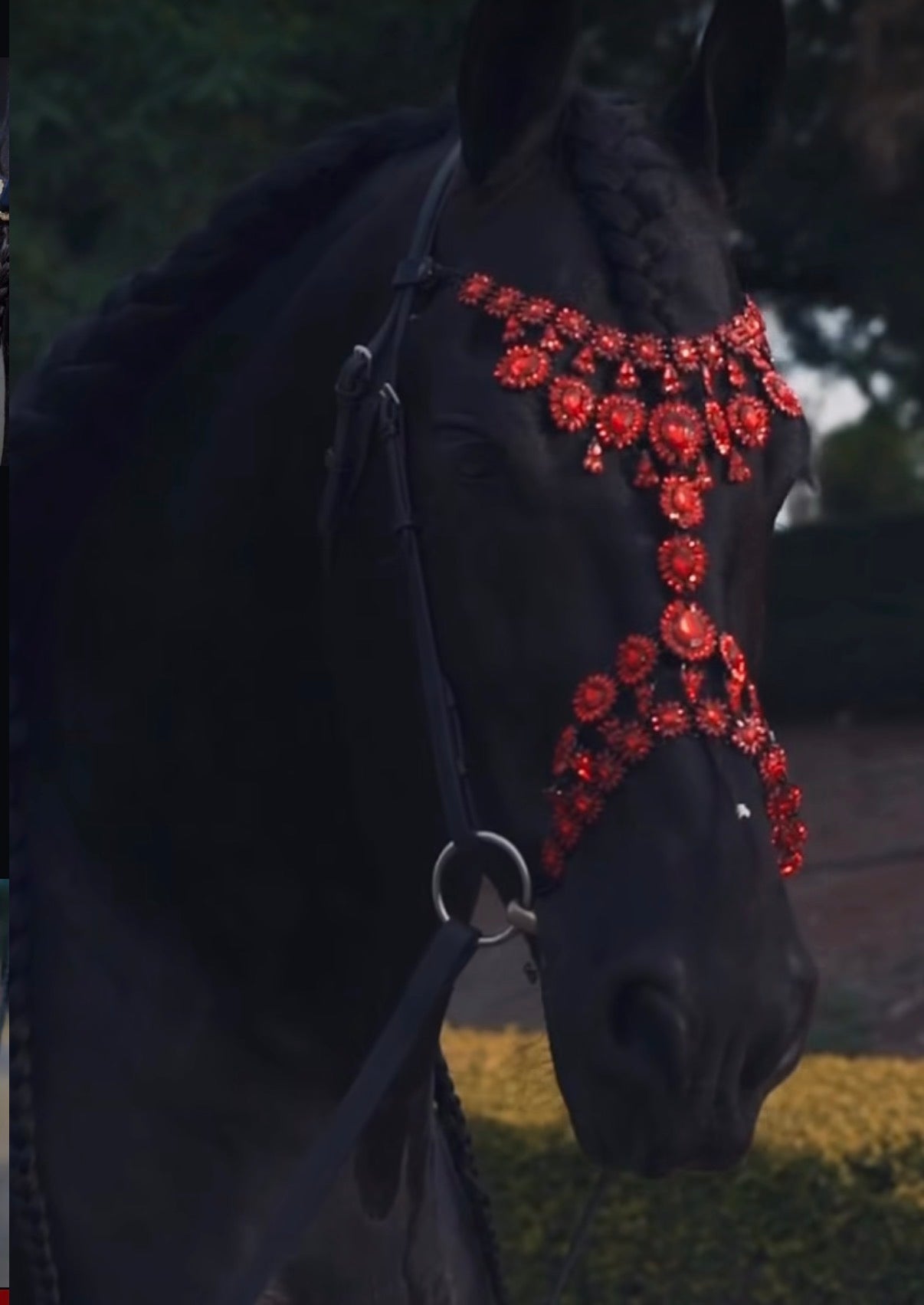 Pferdeschmuck StarLuxe Róuge