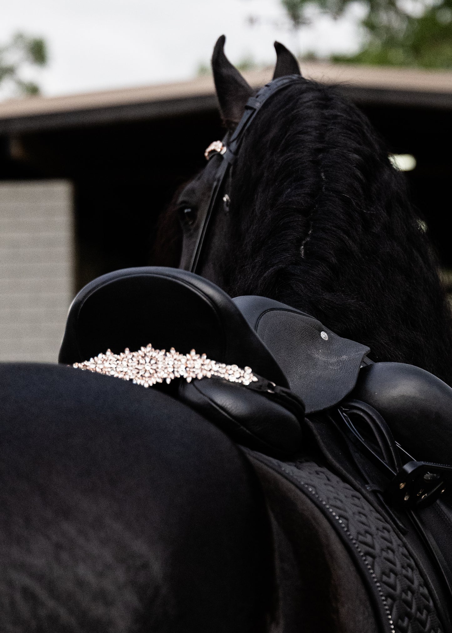 Sattelschmuck Cristallux