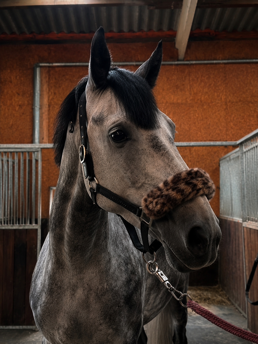 Leopard Luxe Nose Cover