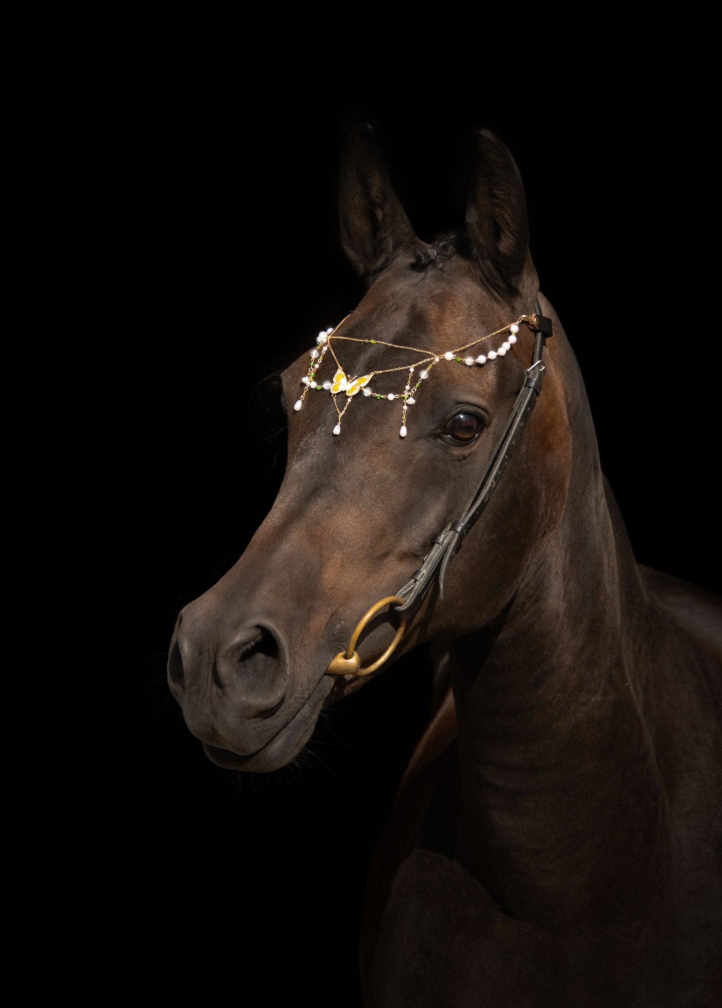 Pferdeschmuck Green Butterfly