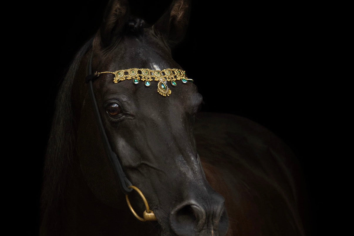 Bijoux pour chevaux Médine