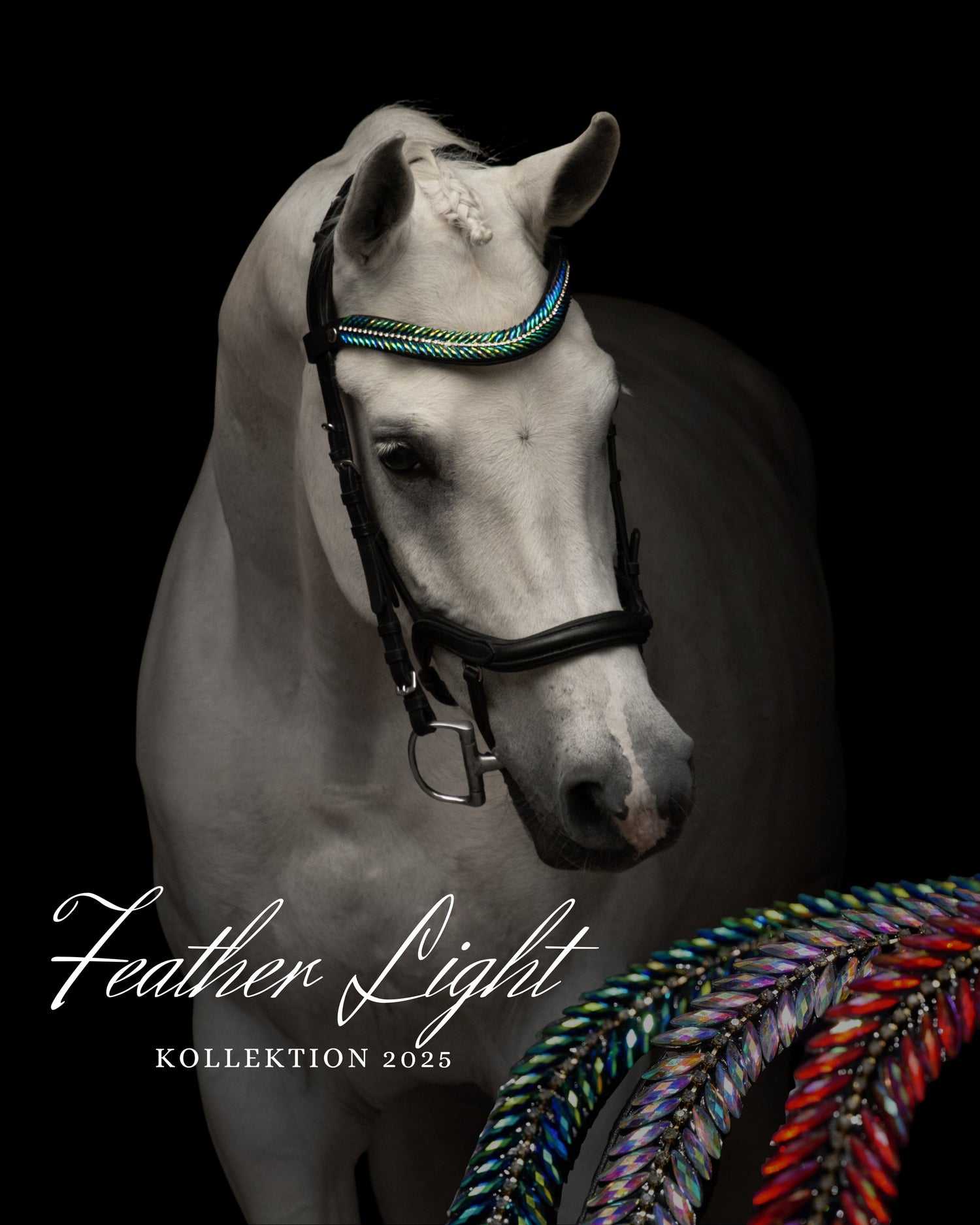 Feather Light Collection 2024