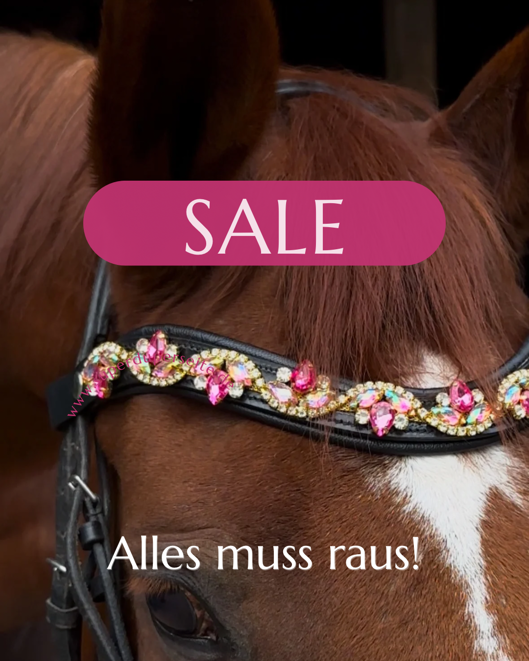 Sale - Auslaufmodelle