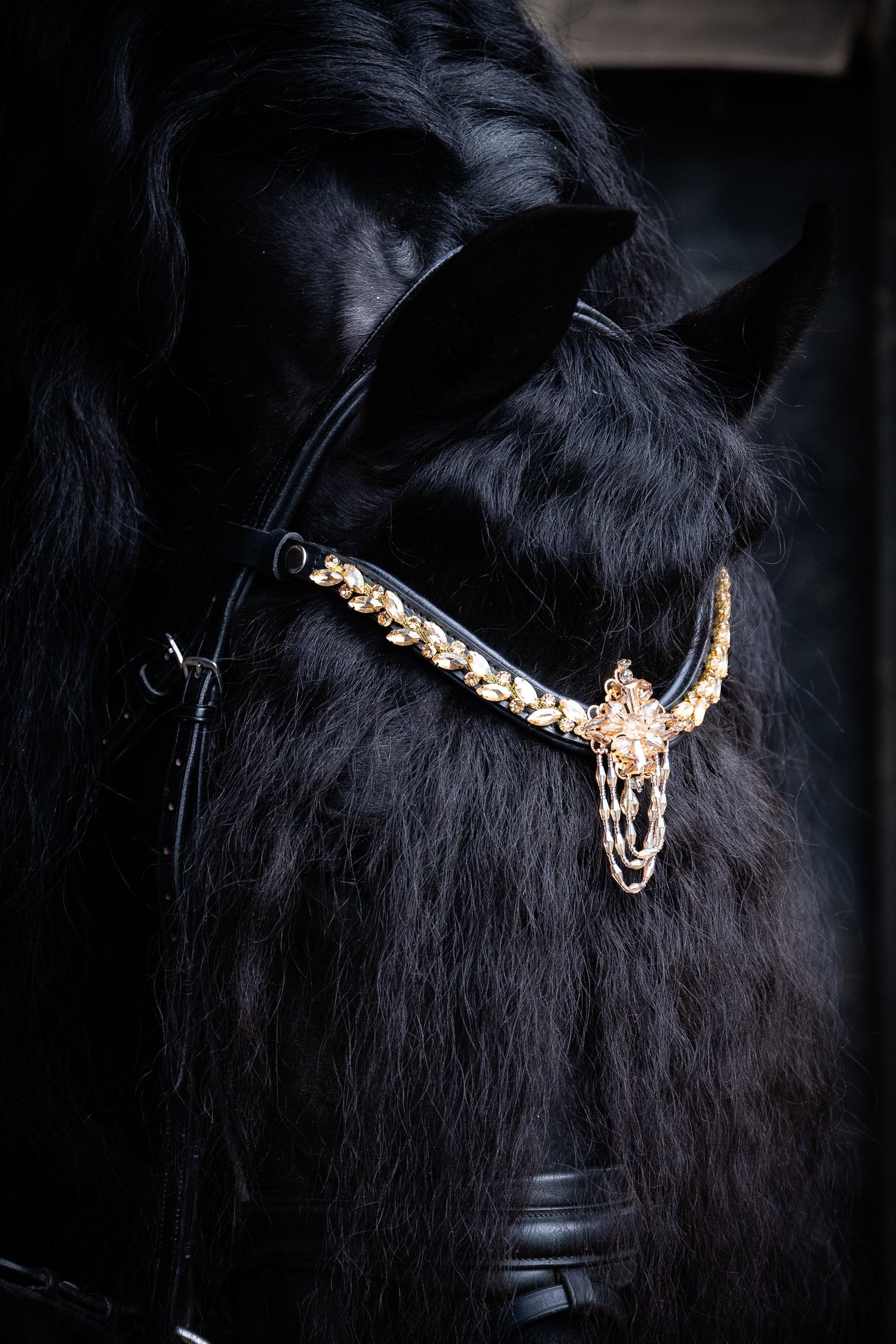 Equos Imperi´s Royals
