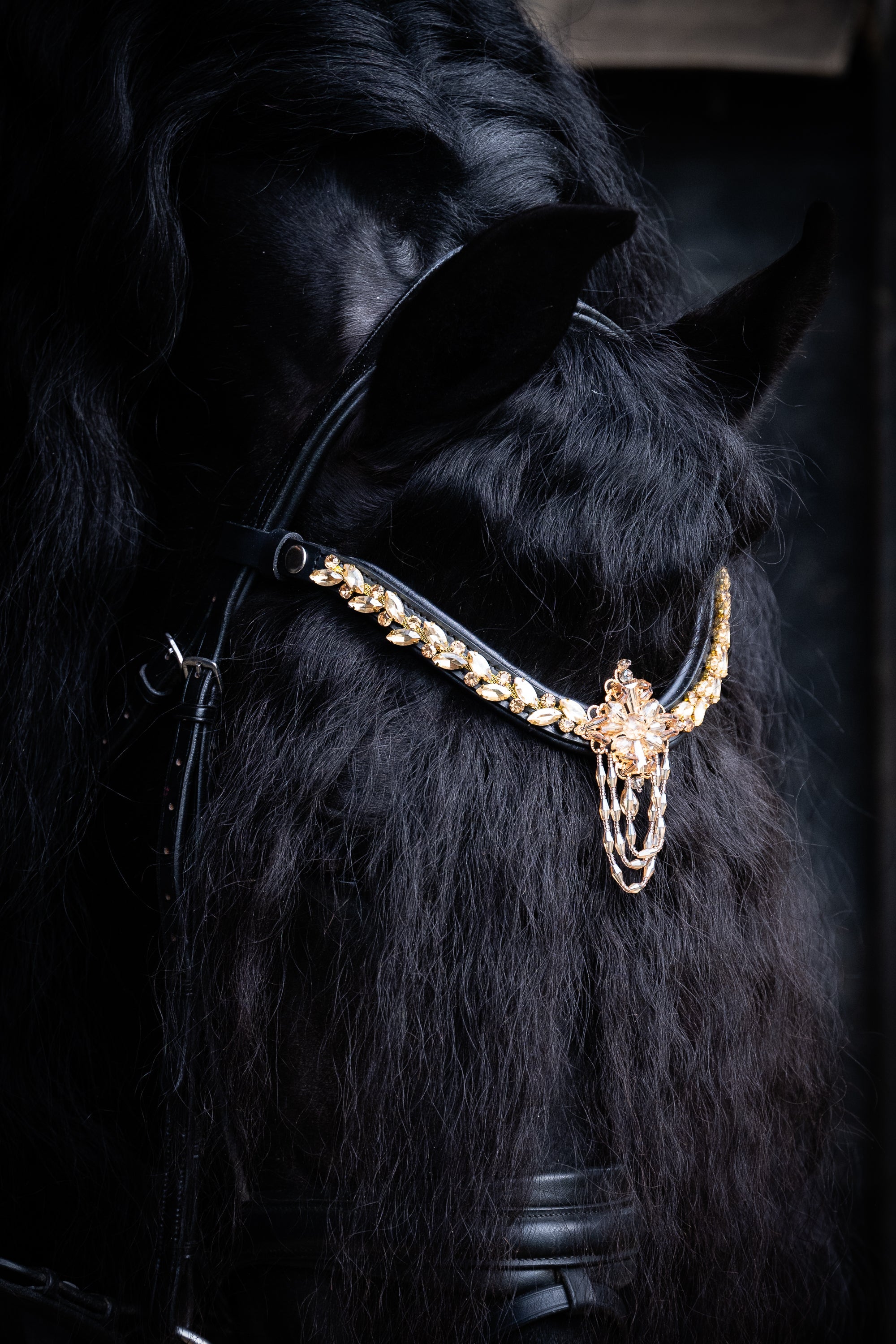 Equos Imperi´s Royals