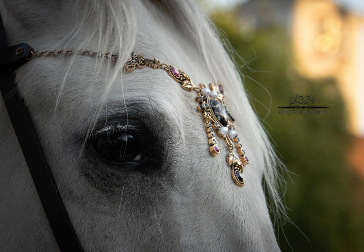 Pferdeschmuck