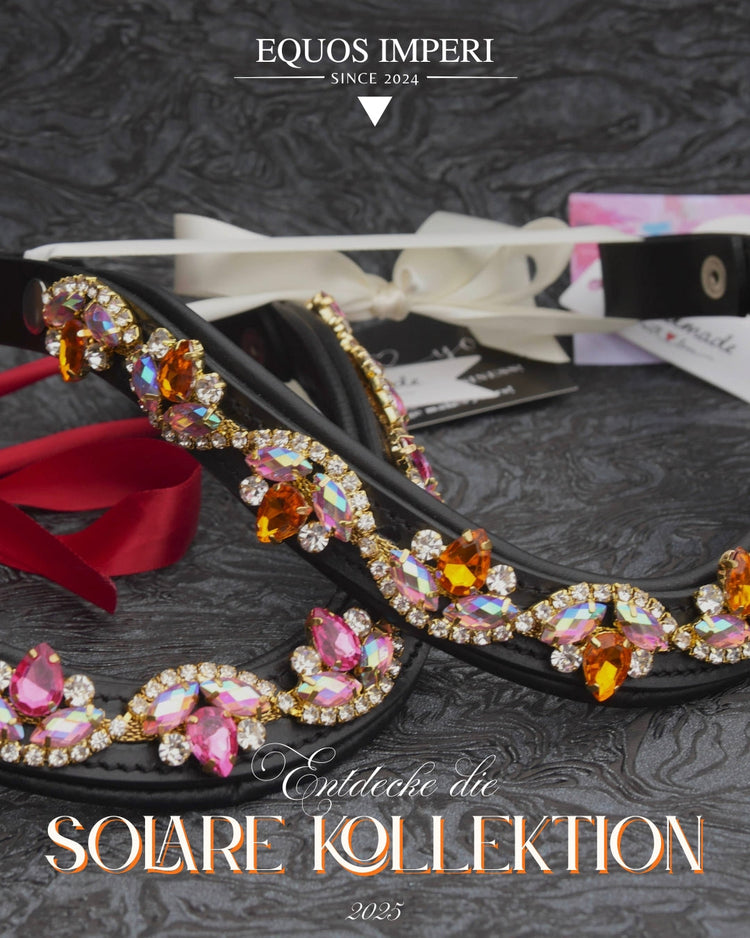 Die Solare Kollektion