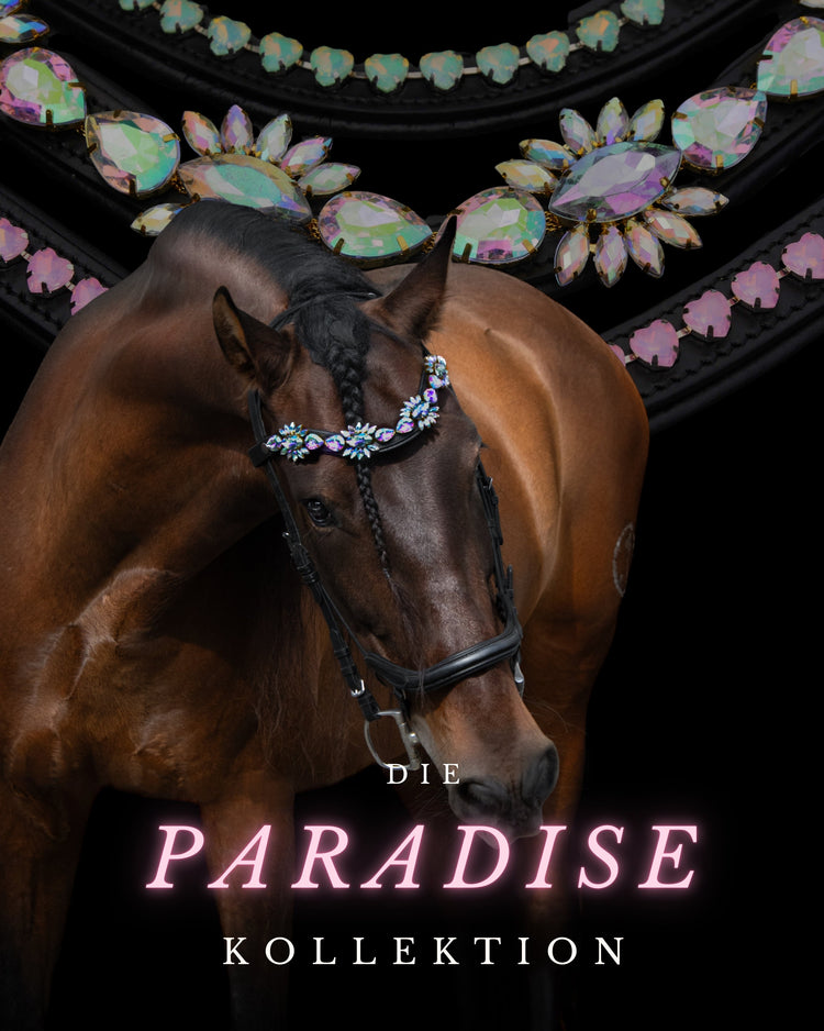 Paradise Kollektion – Bunt. Strahlend. Einzigartig.