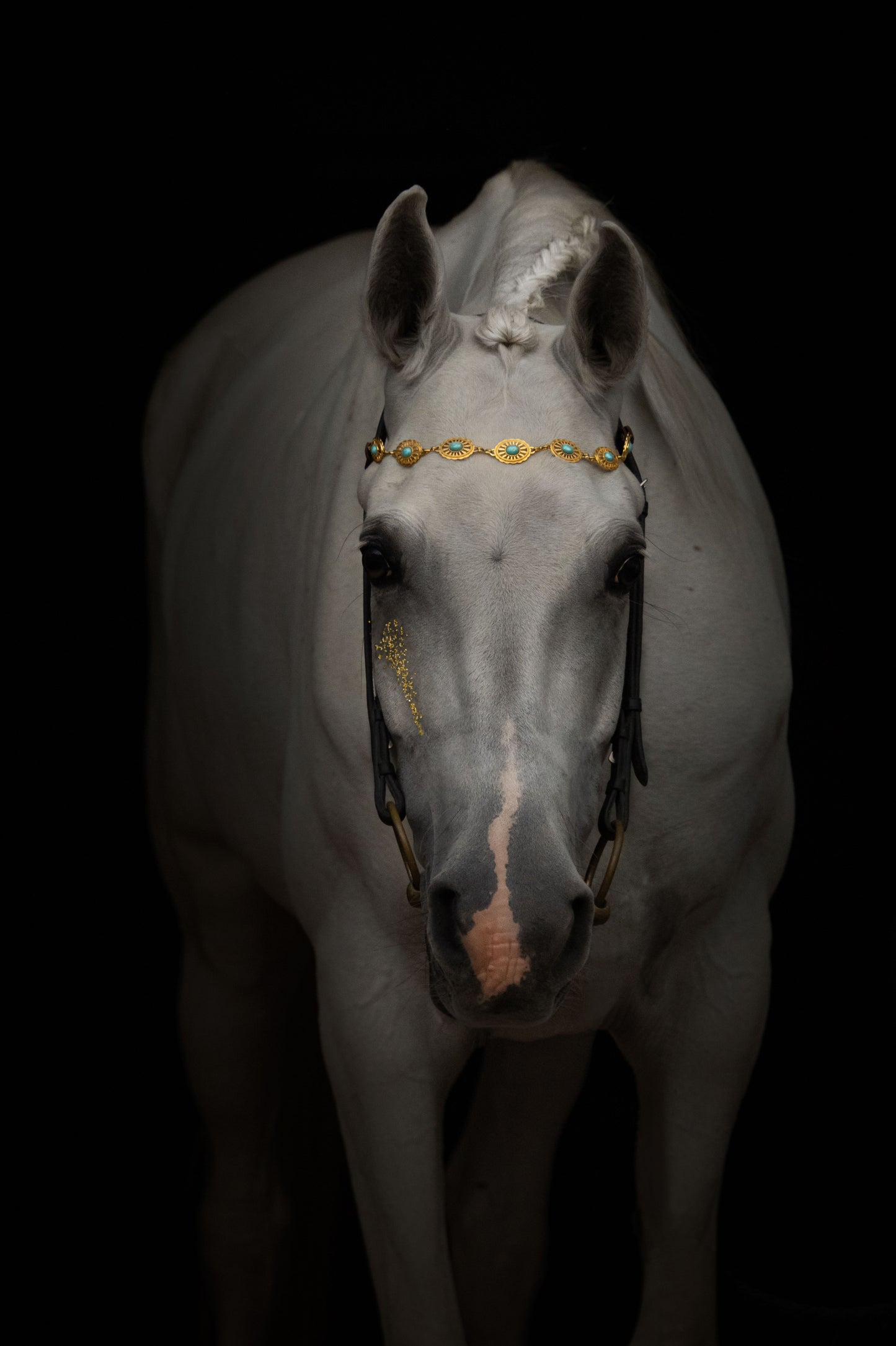 Pferdeschmuck Aquaris