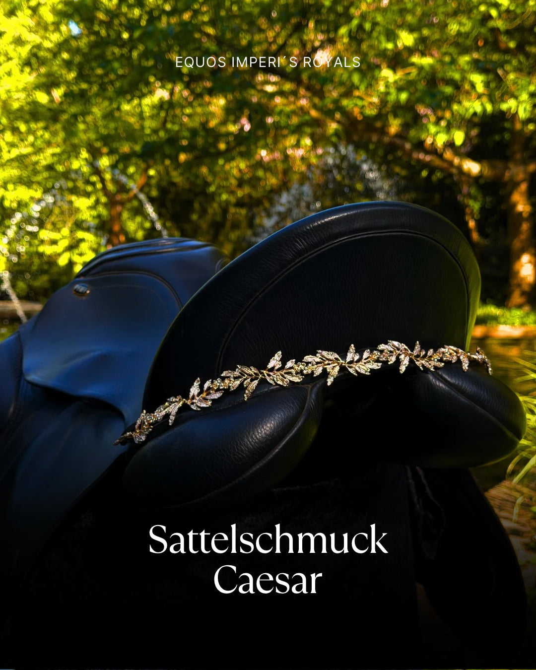 Sattelschmuck Caesar