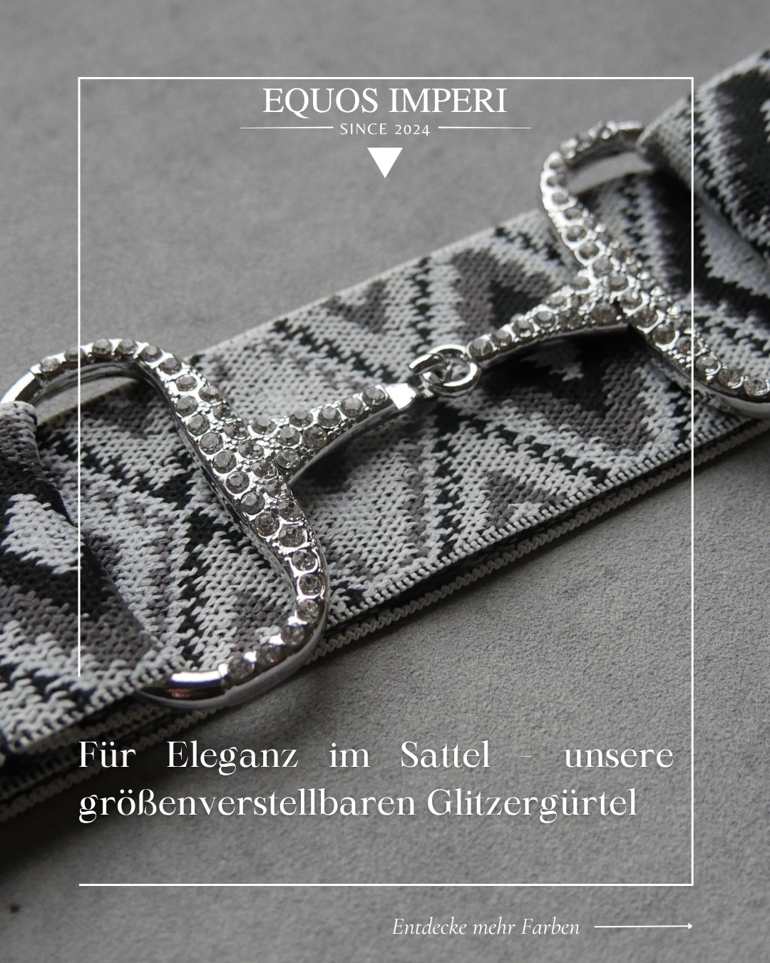 Reitgürtel Indiemuster