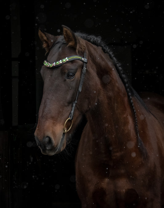 Stirnriemen Floral Green