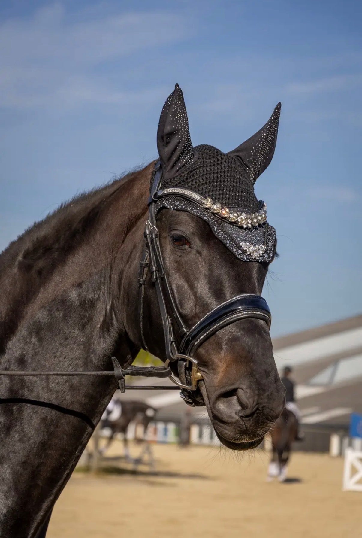 Fliegenhaube Barolo