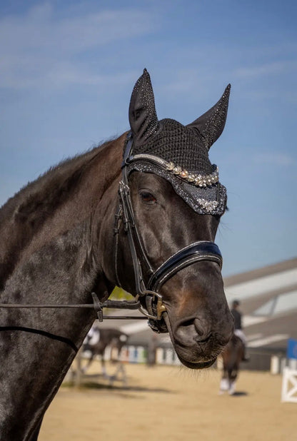 Fliegenhaube Barolo