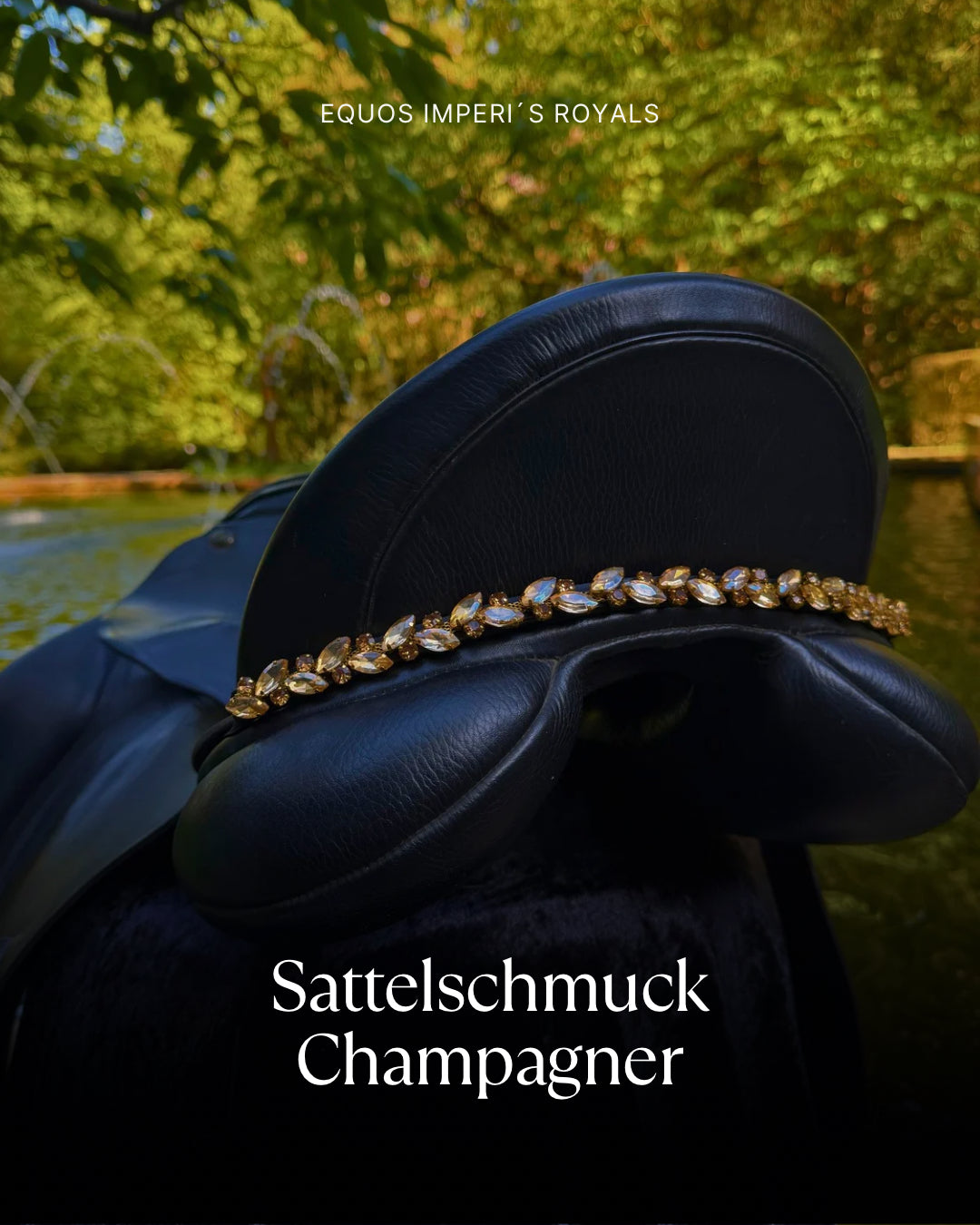 Sattelschmuck Champagner