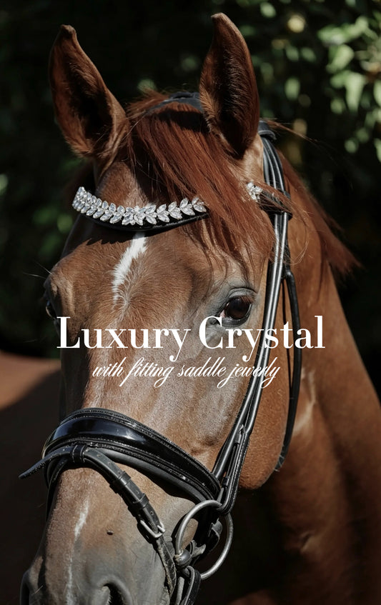 Stirnriemen Luxury Crystal