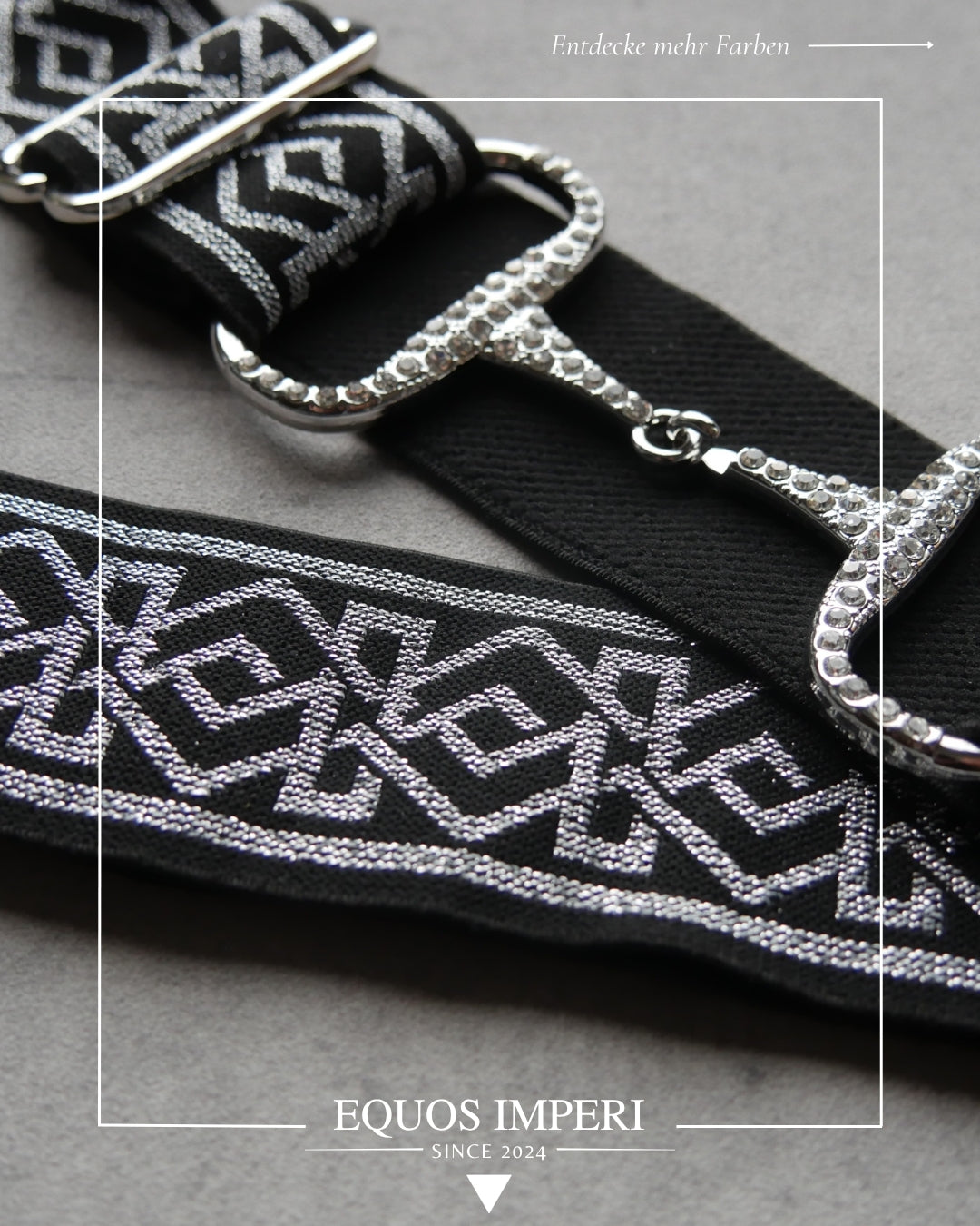 Reitgürtel Schwarz Silber Muster