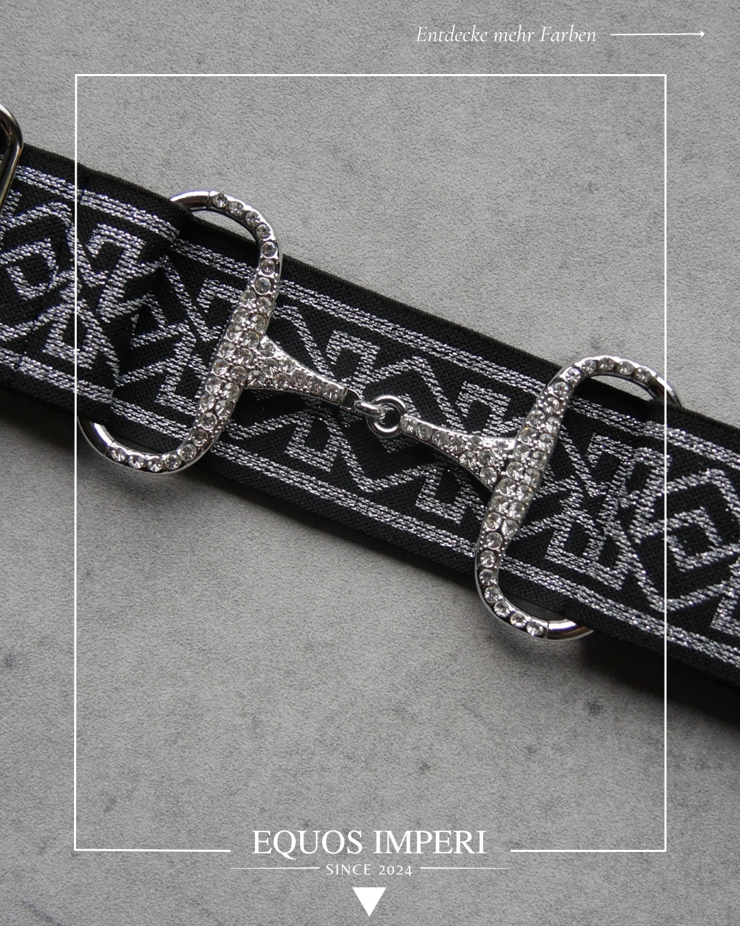 Reitgürtel Schwarz Silber Muster