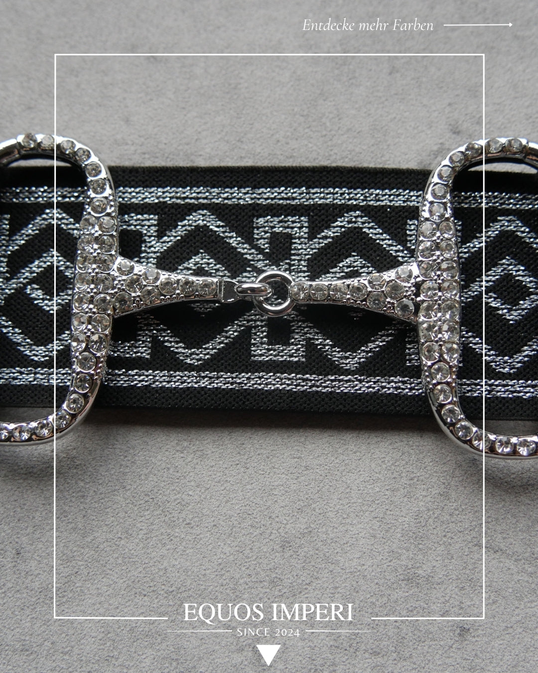 Reitgürtel Schwarz Silber Muster