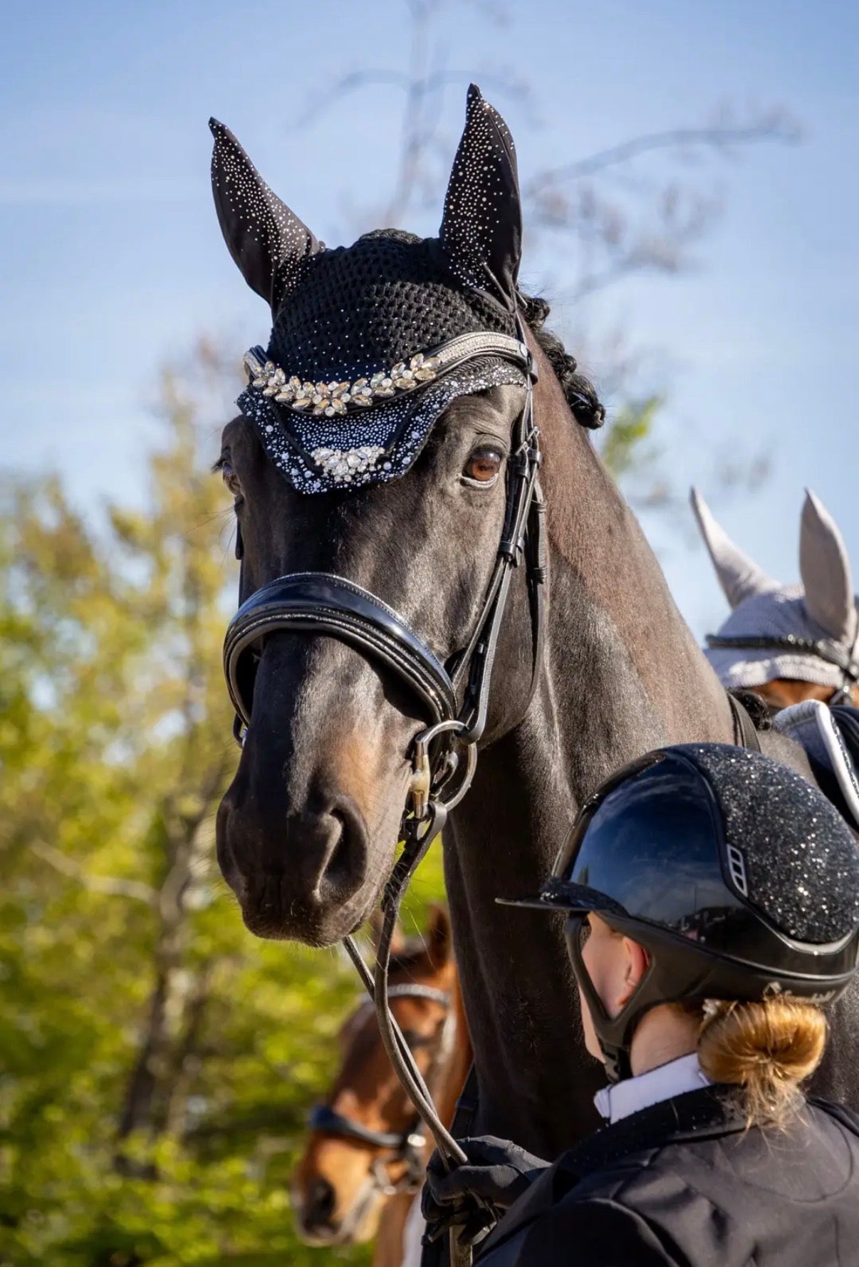 Fliegenhaube Barolo