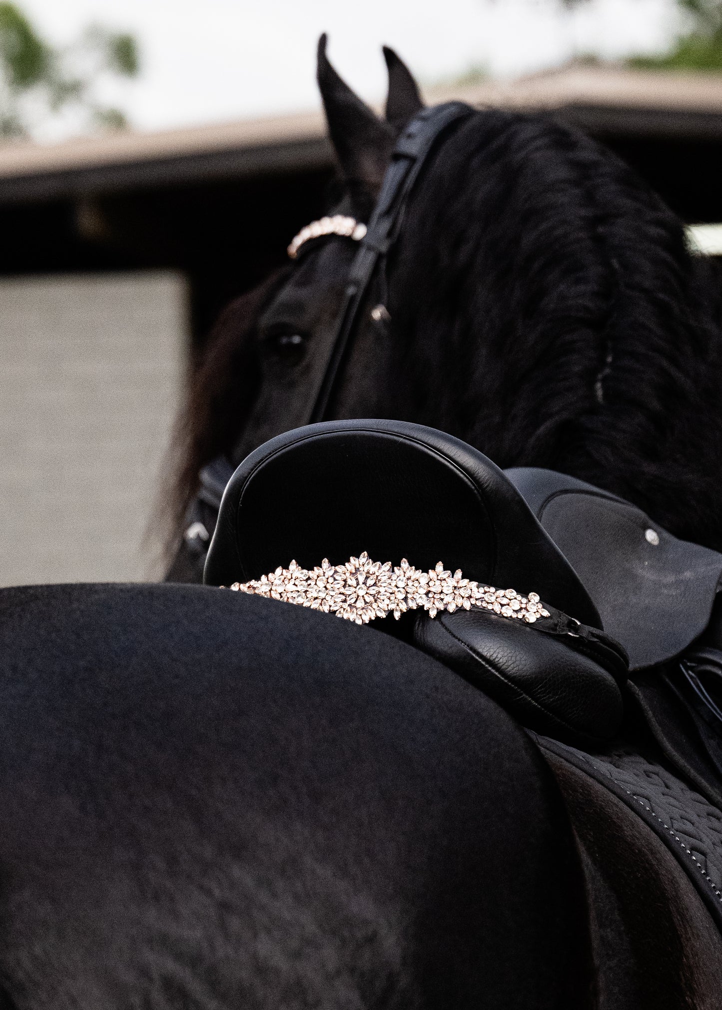 Sattelschmuck Cristallux
