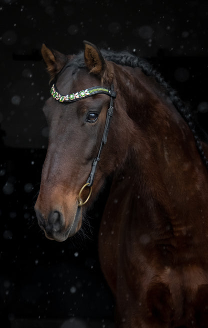 Stirnriemen Floral Green