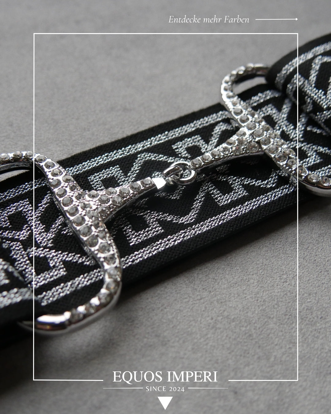 Reitgürtel Schwarz Silber Muster