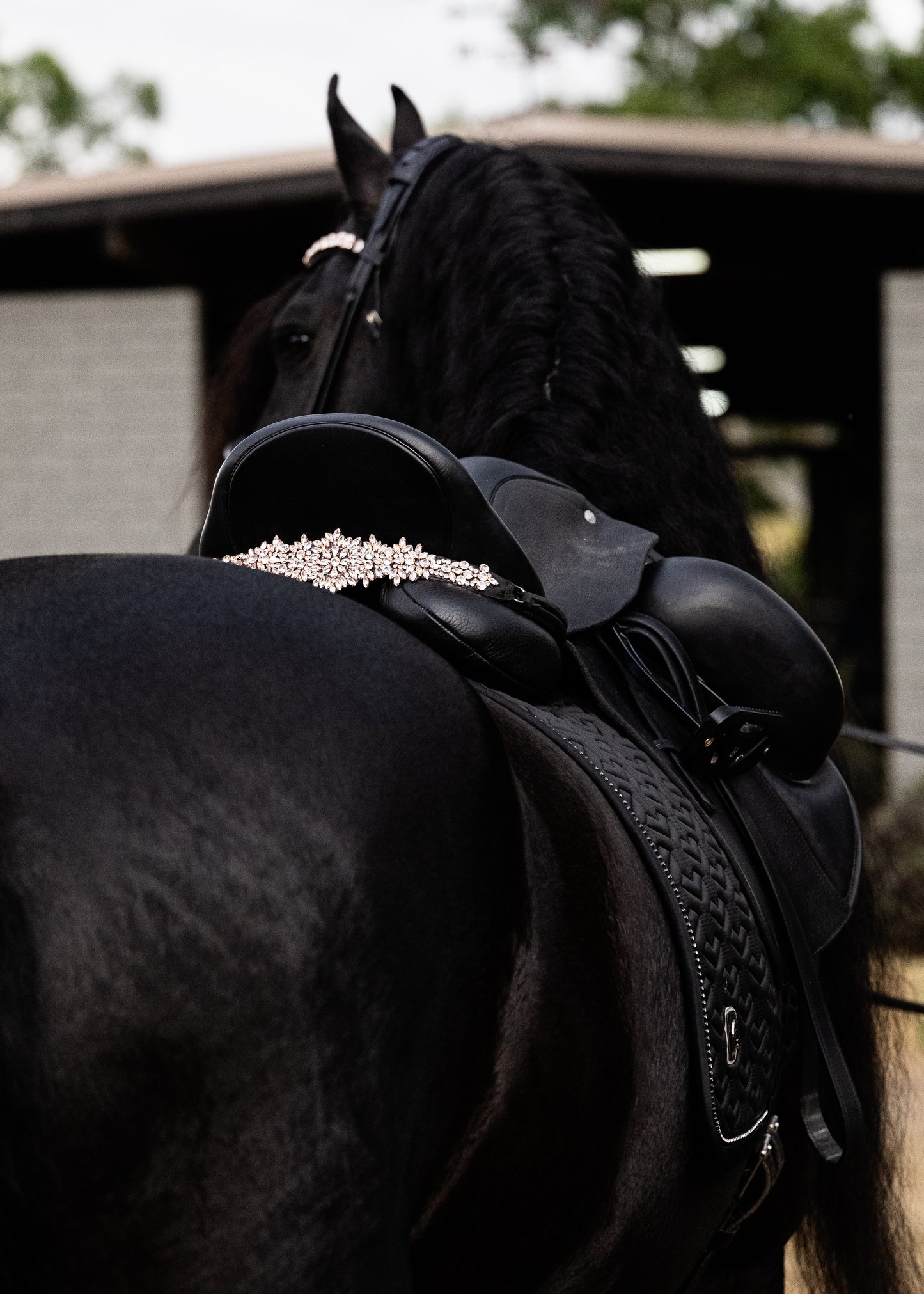 Sattelschmuck Cristallux