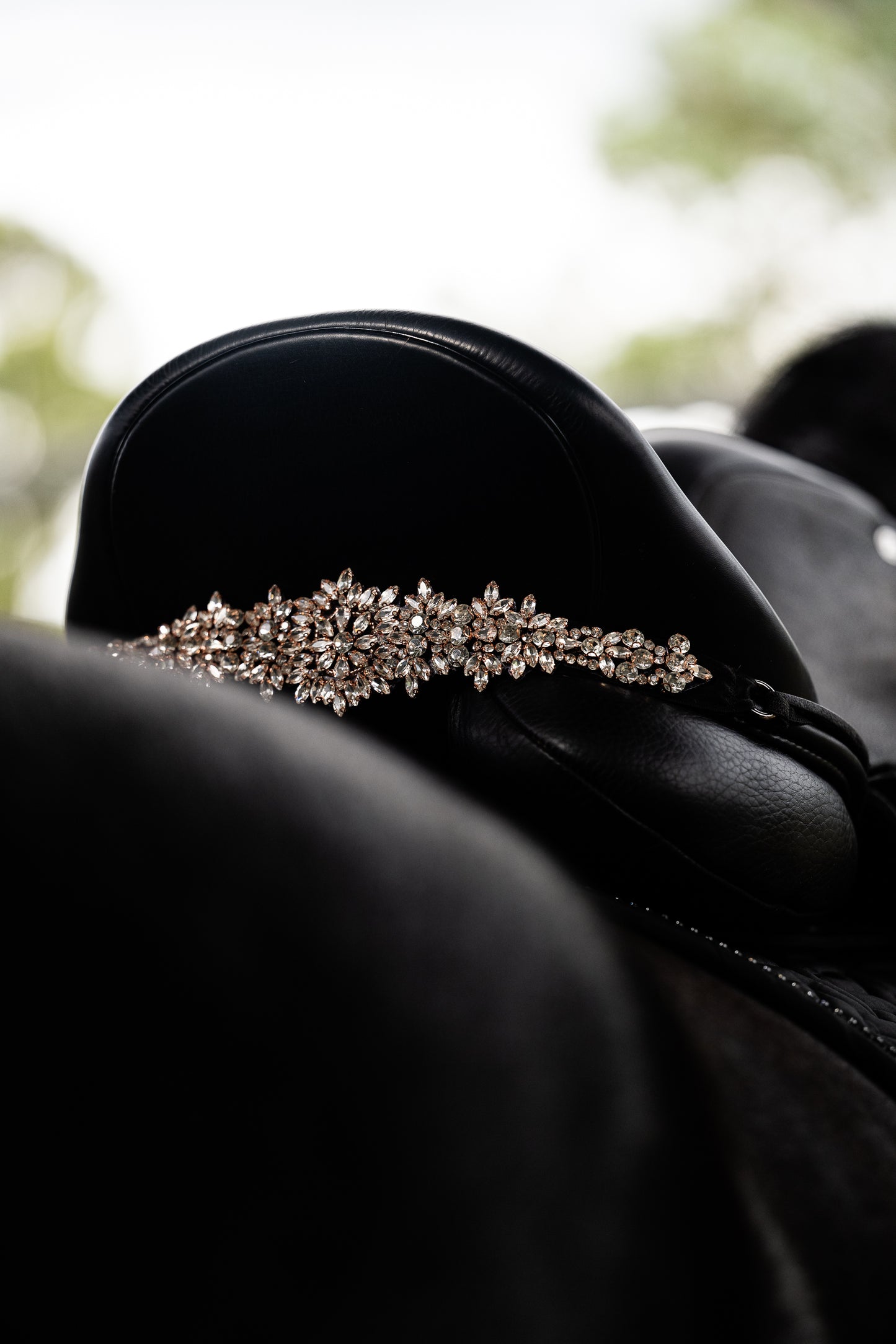Sattelschmuck Cristallux
