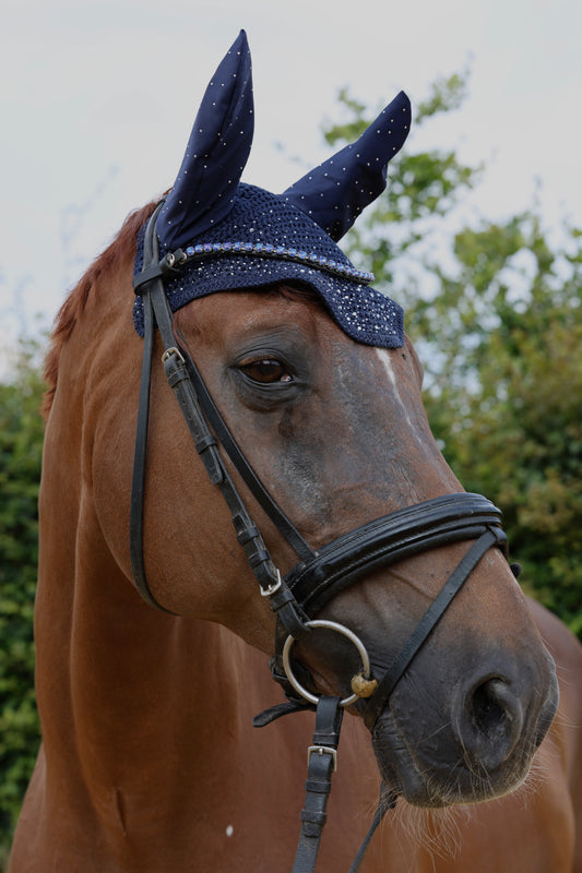 Fliegenhaube Blue Elegance