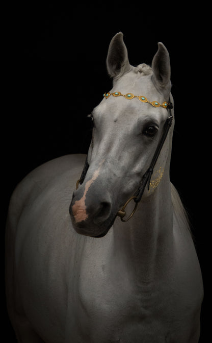 Pferdeschmuck Aquaris