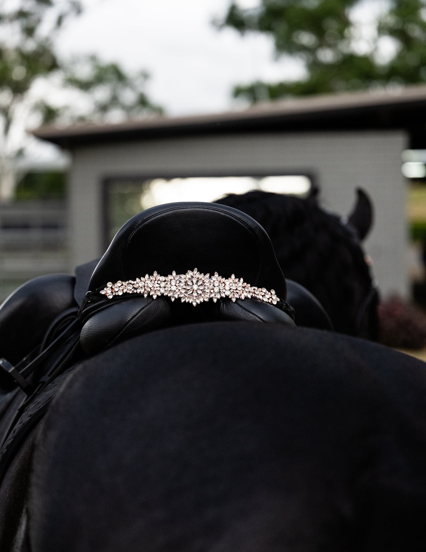 Sattelschmuck Cristallux