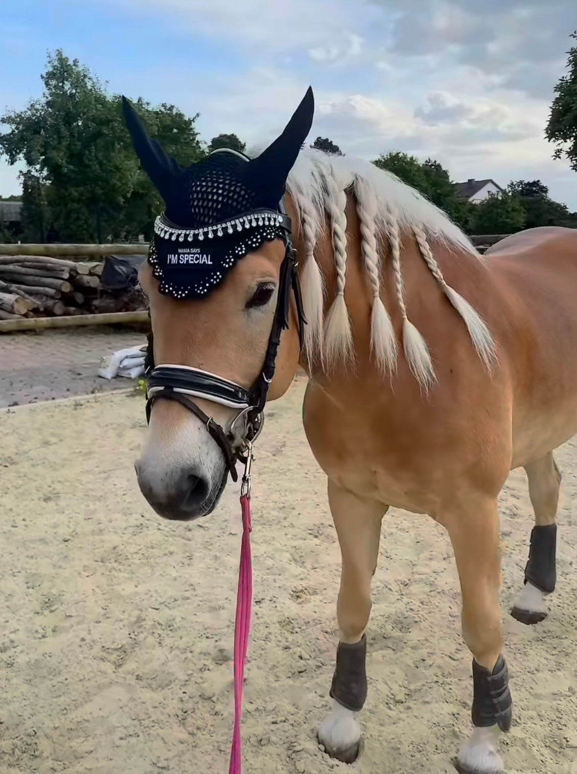 Stirnriemen Teardrop