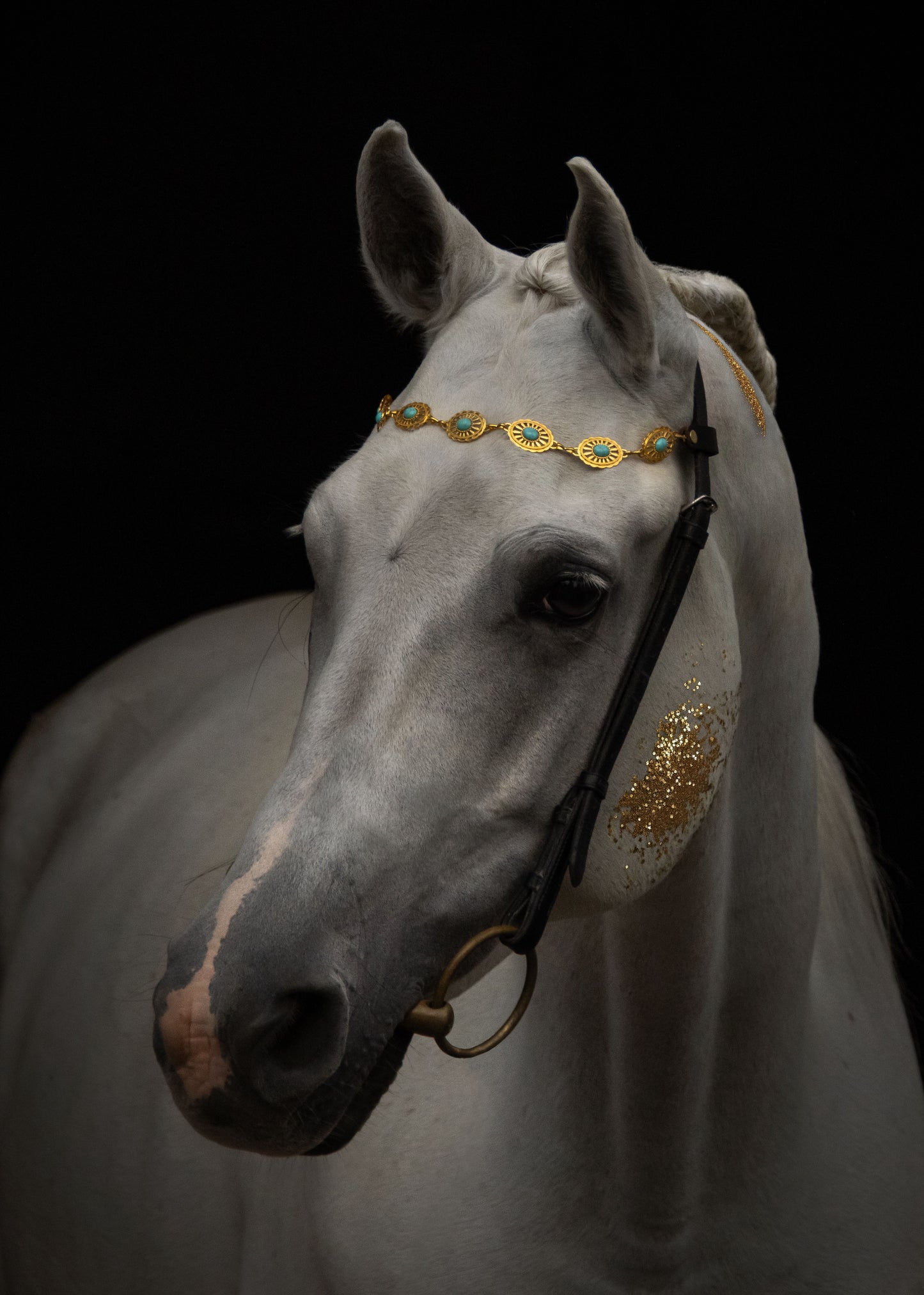 Pferdeschmuck Aquaris