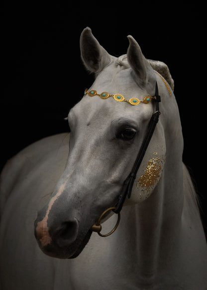 Pferdeschmuck Aquaris