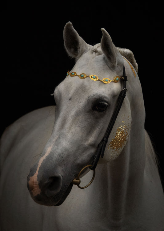Pferdeschmuck Aquaris
