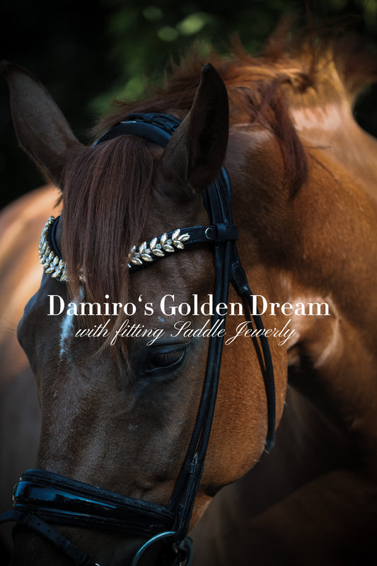 Stirnriemen Damiro‘s Golden Dream