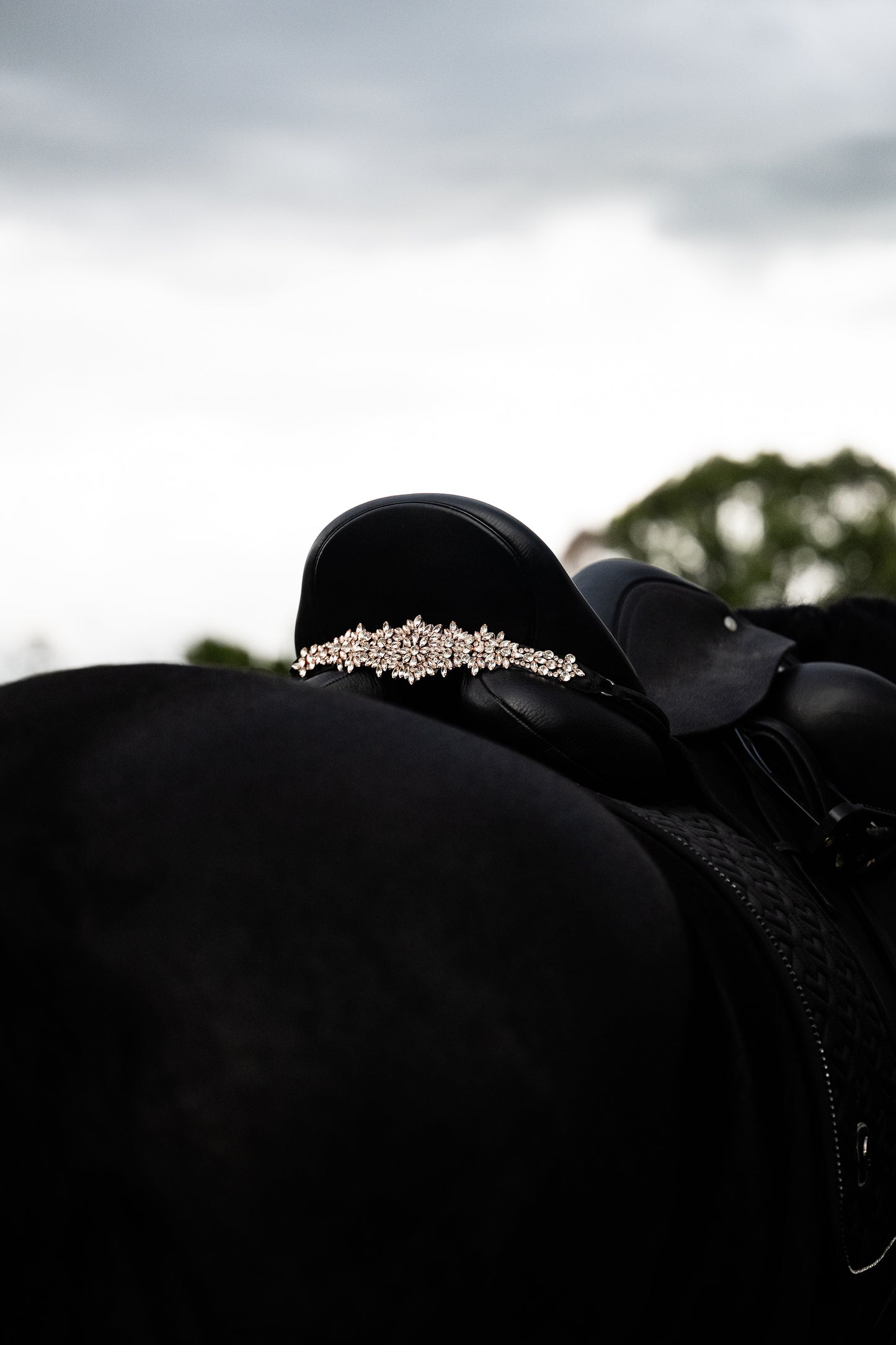 Sattelschmuck Cristallux