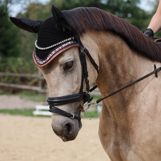 Fliegenhaube Equos Imperi Leo