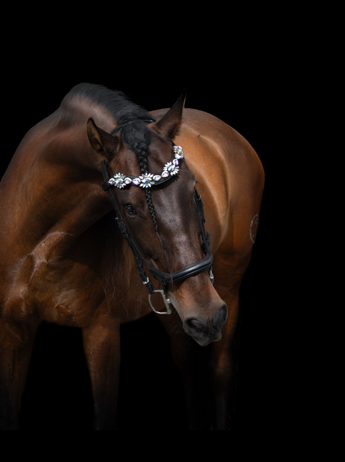 Stirnriemen Paradise