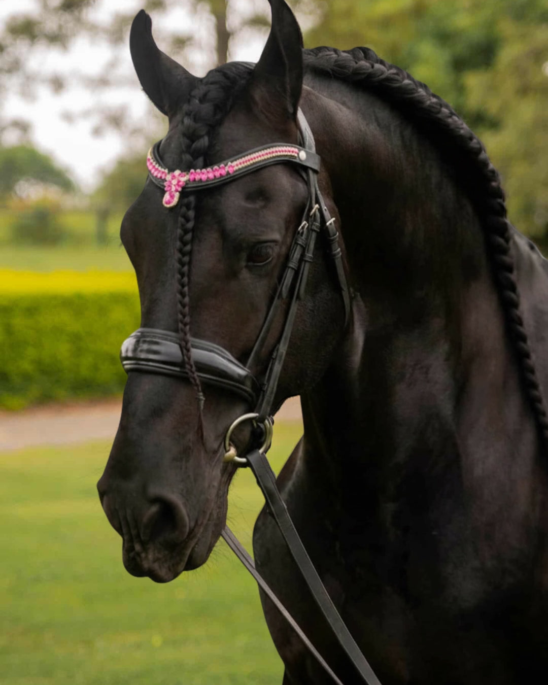 Stirnriemen Bella Pink