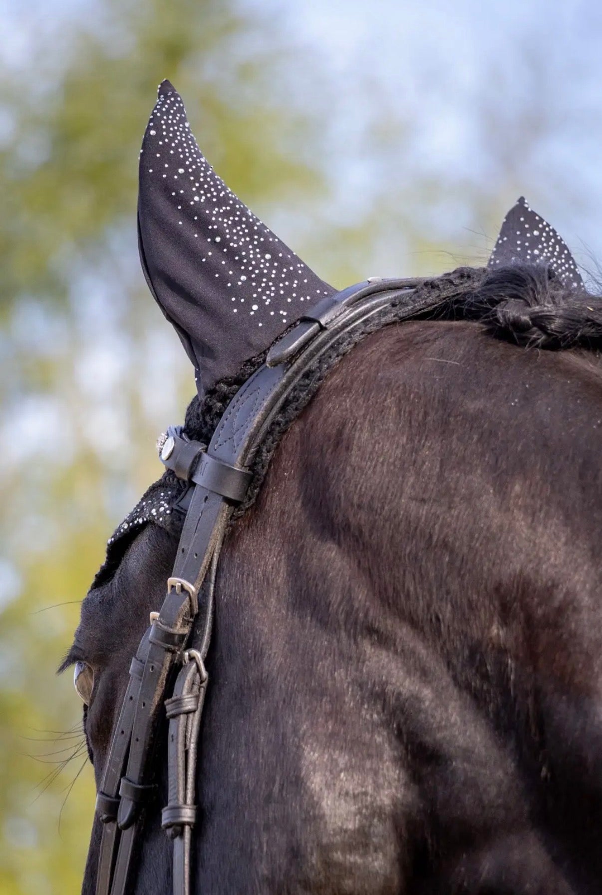 Fliegenhaube Barolo