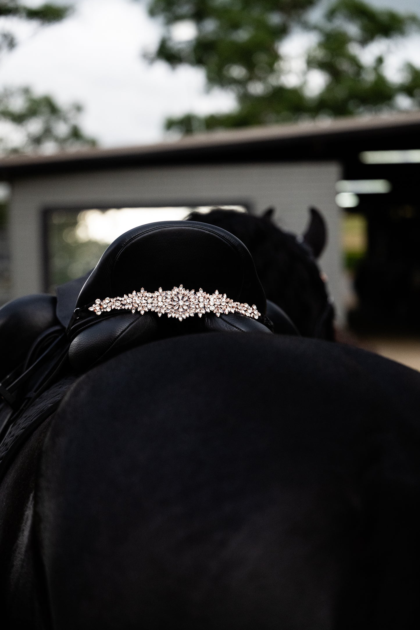 Sattelschmuck Cristallux