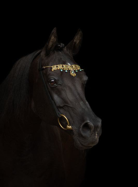 Pferdeschmuck Medina
