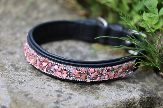Dog Collar Spring