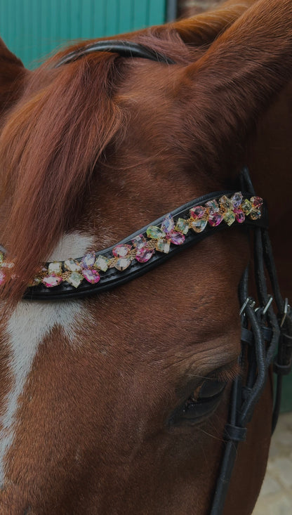 Stirnriemen Showtime