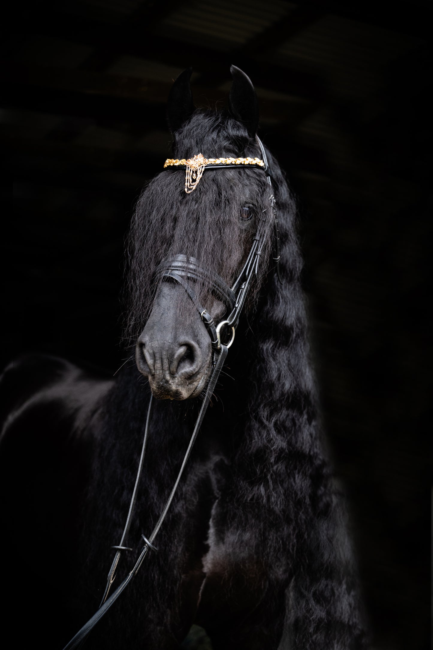 Stirnriemen Birk