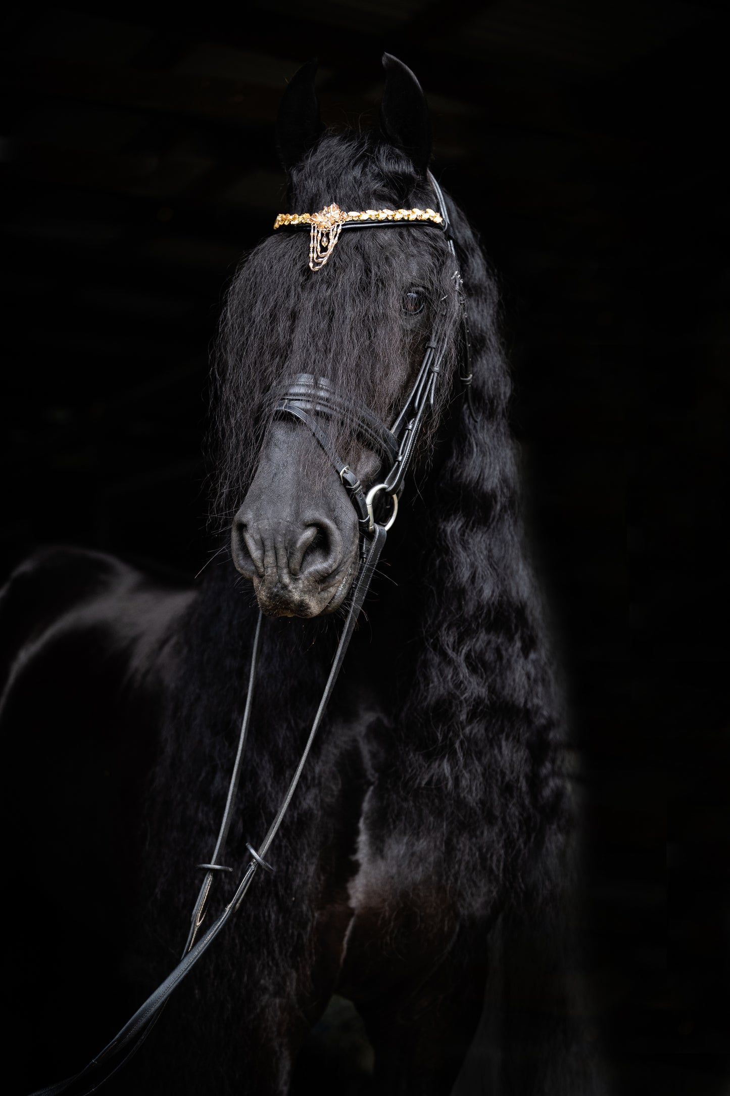 Stirnriemen Birk