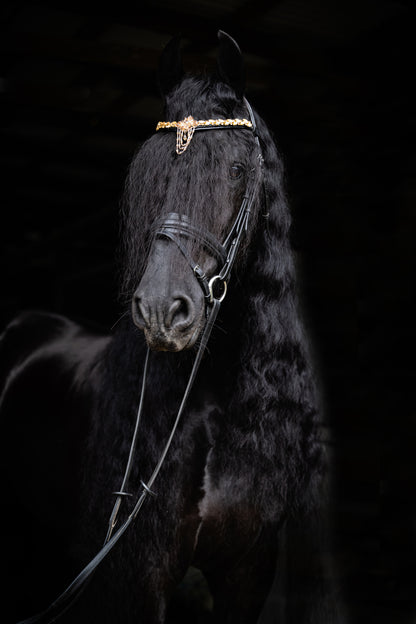 Stirnriemen Birk
